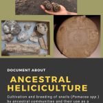 Ancestral Heliciculture – Juan Pablo Llapiz
